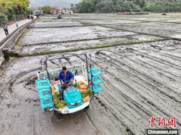 Lavoura da primavera decorre no sul da China