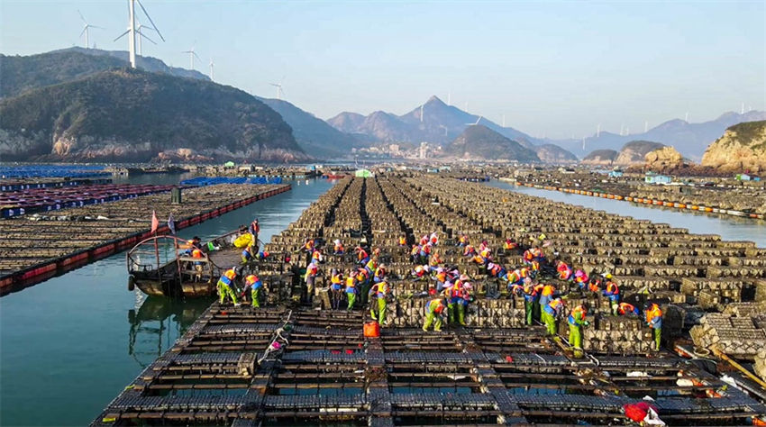Galeria: 600 milhões de abalone lançado para piscicultura em Fujian