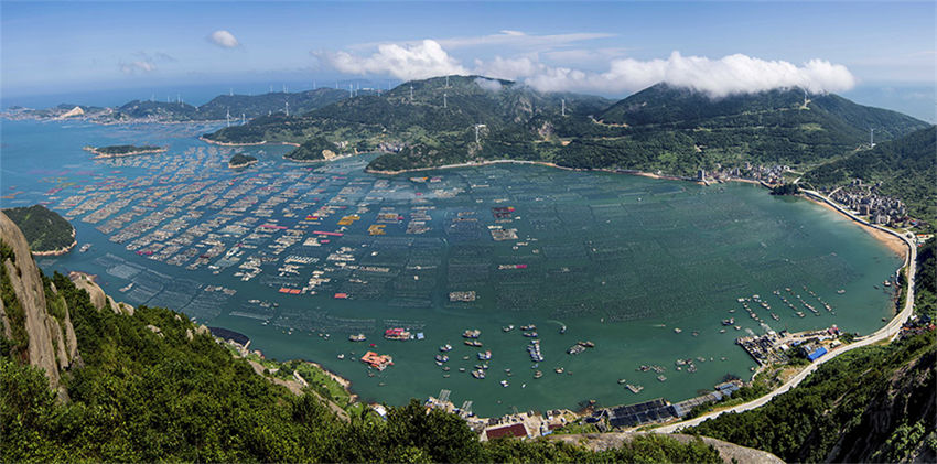 Galeria: 600 milhões de abalone lançado para piscicultura em Fujian