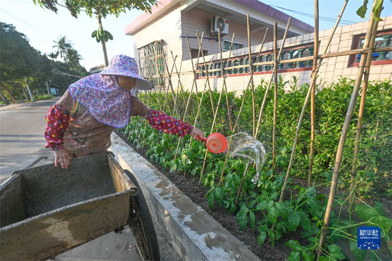 Galeria: Grandes mudanças de vilas antigas em Hainan