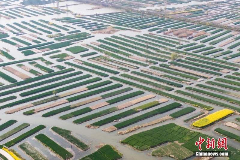 Galeria: cursos de água e cenários campestres cruzam-se na faceta rural de Jiangsu