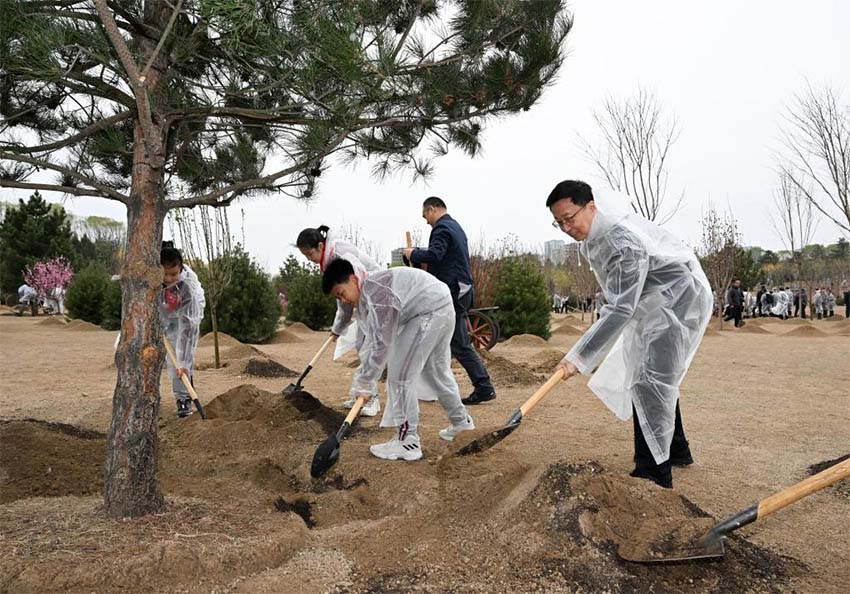 Xi Jinping planta árvores em Beijing, pedindo mais esforços de reflorestamento para desenvolvimento verde e construção da bela China