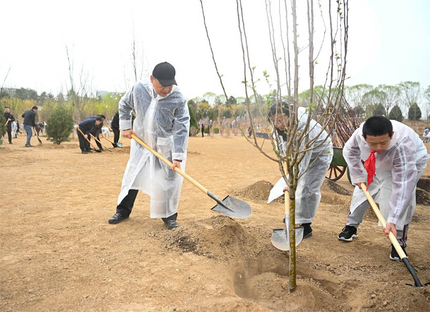 Xi Jinping planta árvores em Beijing, pedindo mais esforços de reflorestamento para desenvolvimento verde e construção da bela China