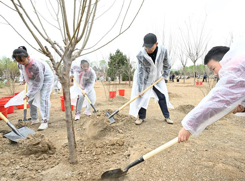 Xi Jinping planta árvores em Beijing, pedindo mais esforços de reflorestamento para desenvolvimento verde e construção da bela China