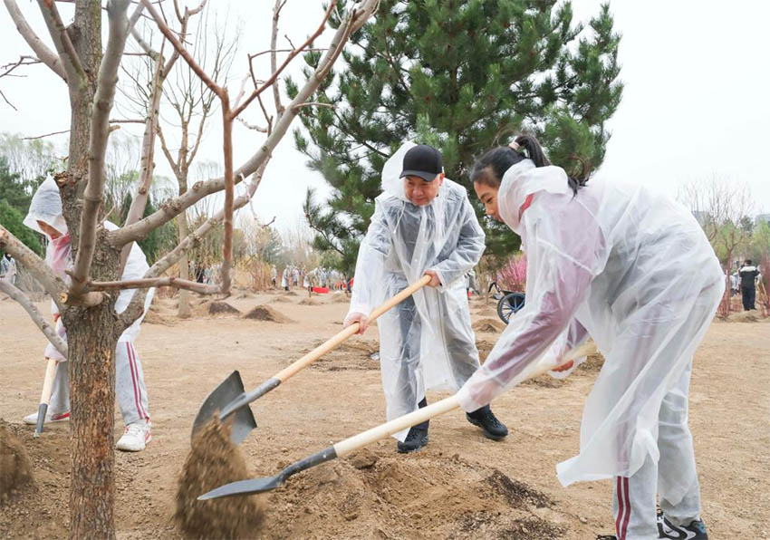 Xi Jinping planta árvores em Beijing, pedindo mais esforços de reflorestamento para desenvolvimento verde e construção da bela China