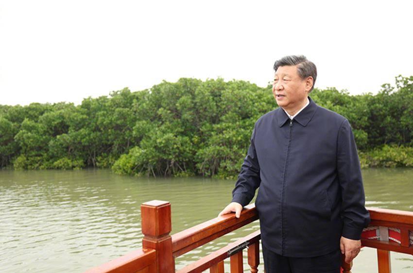 Xi Jinping inspeciona Província de Guangdong, no sul da China