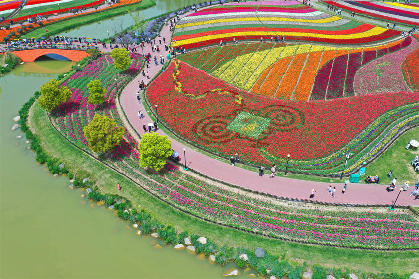 Galeria: belo mar de flores na primavera em Jiangsu