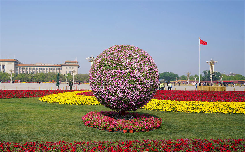 Canteiros de flores são instalados na Praça Tiananmen para o feriado de primeiro de maio