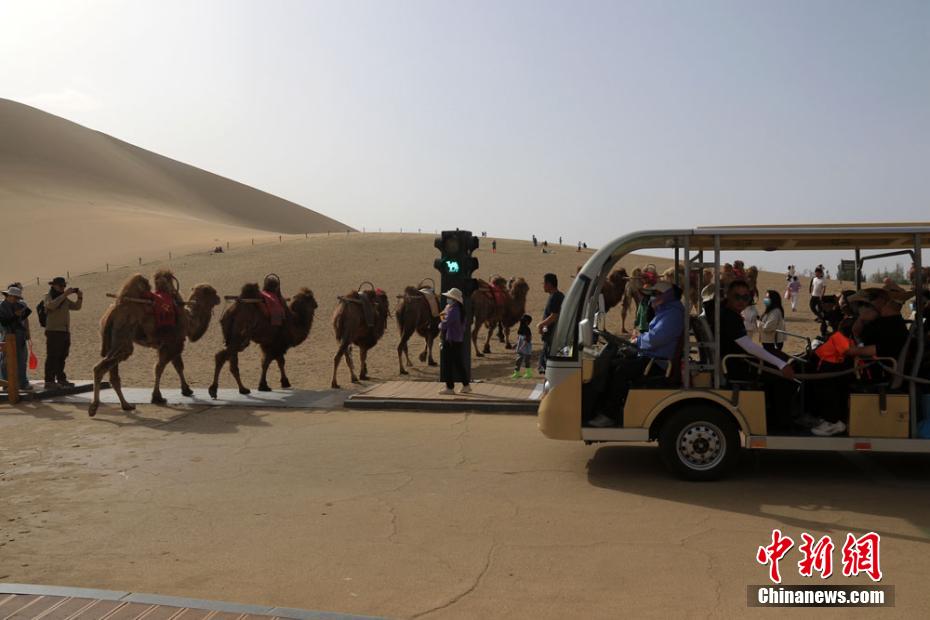 Engarrafamentos nas passagens de camelos são registrados no noroeste da China