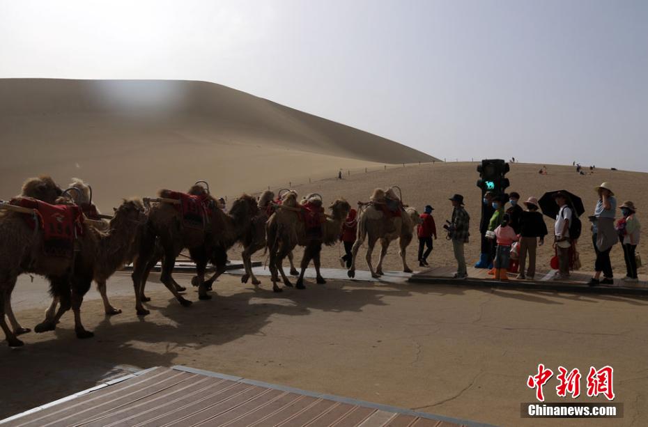 Engarrafamentos nas passagens de camelos são registrados no noroeste da China