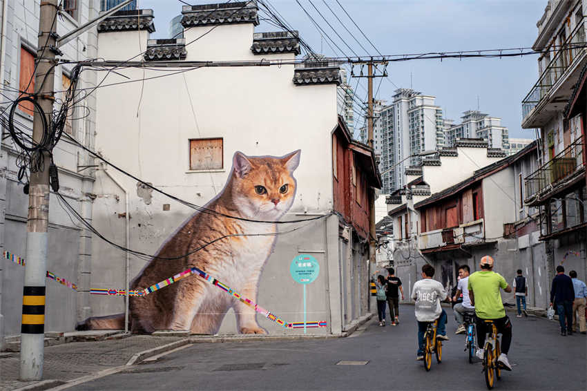 Shanghai: artistas transformam rua antiga em foco de criatividade