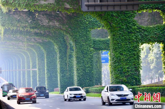 Galeria: paisagem verde sob viaduto atrai cidadãos no sudoeste da China