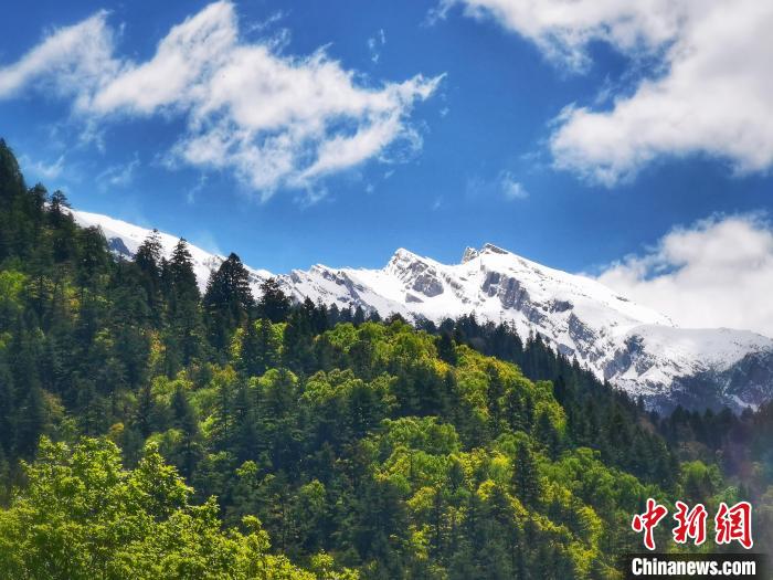 Jiuzhaigou recebeu mais de 1 milhão de visitantes em 2023