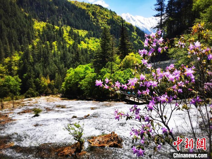 Jiuzhaigou recebeu mais de 1 milhão de visitantes em 2023