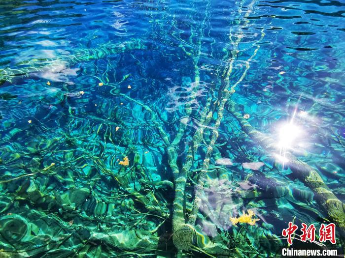 Jiuzhaigou recebeu mais de 1 milhão de visitantes em 2023