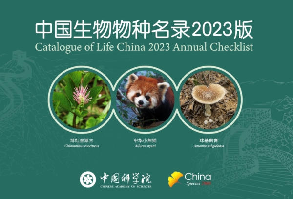 China divulga lista anual de biodiversidade