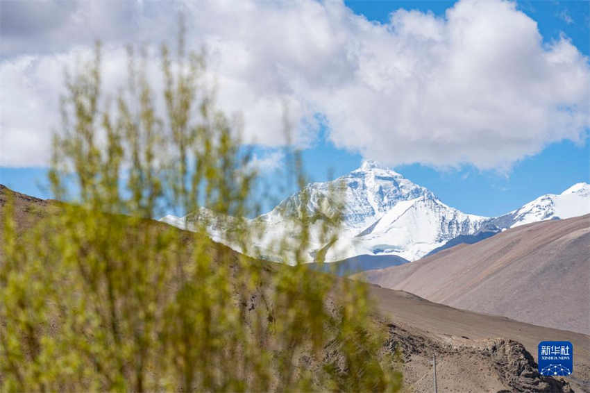 Região do Monte Qomolangma testemunha melhoria do ambiente ecológico, dizem especialistas