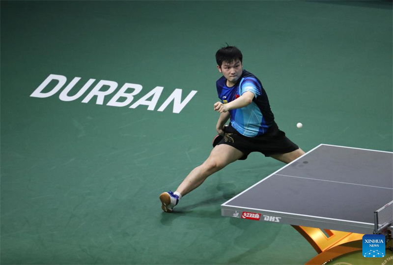 WTTC: Sun Yingsha e Fan Zhendong campeões mundiais de tênis de mesa