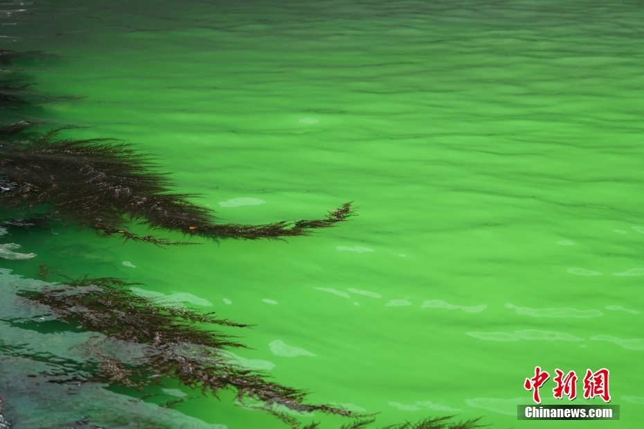 Cor da água do principal rio de Veneza tornou-se verde fluorescente