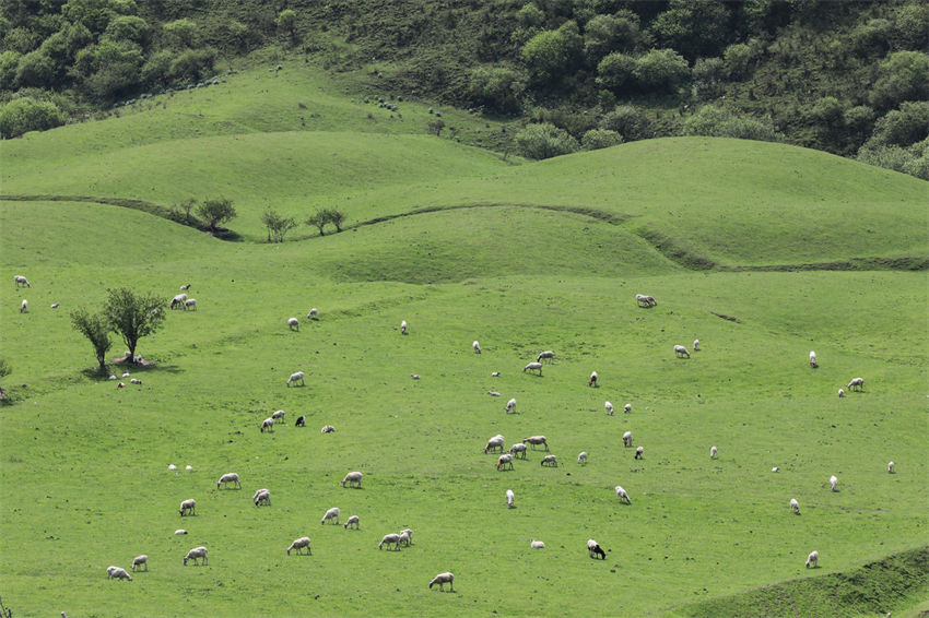 Longnan adere ao conceito de desenvolvimento verde, noroeste da China