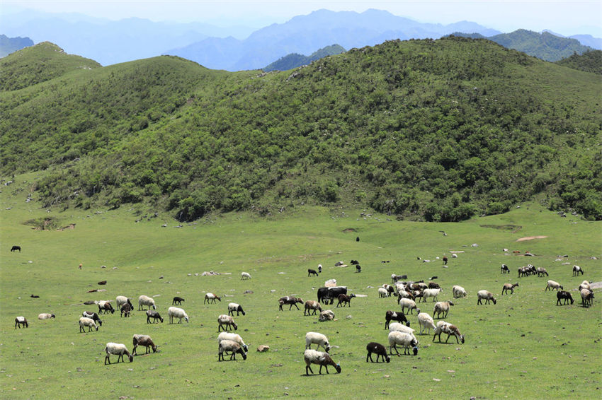 Longnan adere ao conceito de desenvolvimento verde, noroeste da China