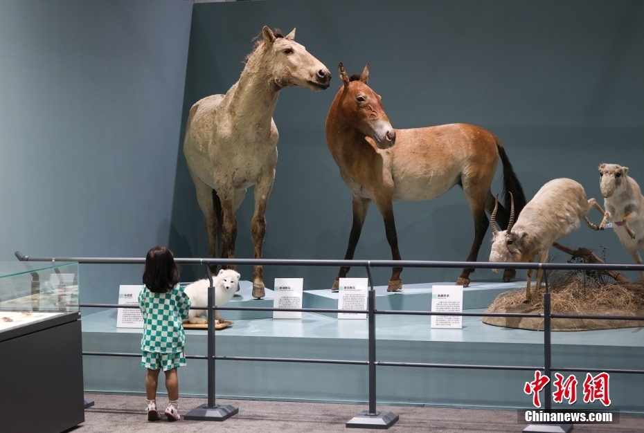 Museu Nacional de História Natural abre ao público