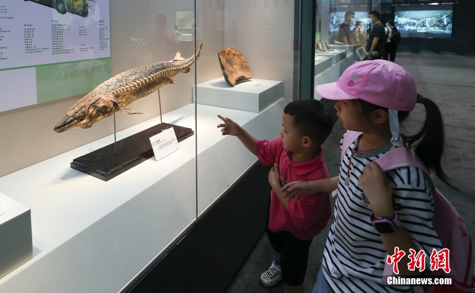 Museu Nacional de História Natural abre ao público