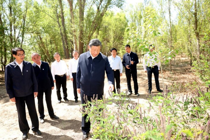 Xi Jinping pede esforços sustentados para controlar a desertificação