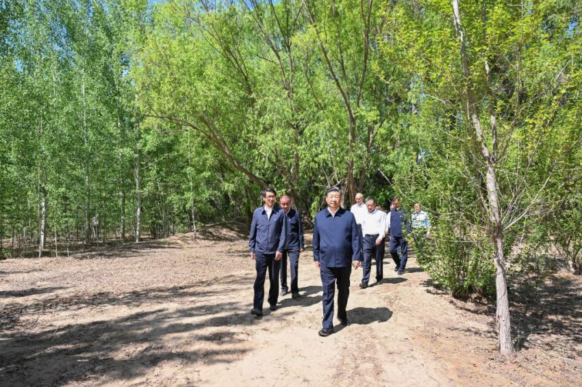 Xi Jinping pede esforços sustentados para controlar a desertificação