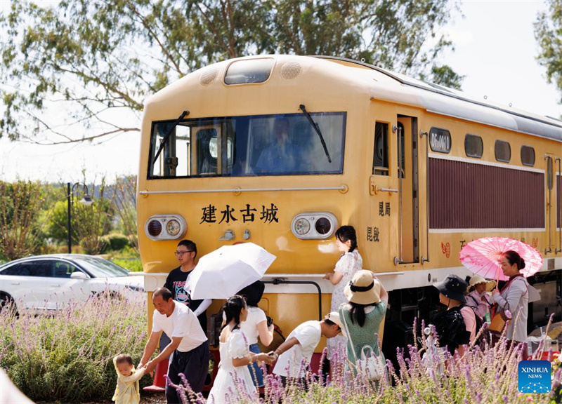 Yunnan: linha ferroviária turística atrai visitantes em Honghe