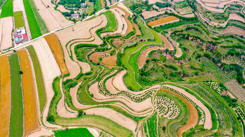 Galeria: condado de Shanxi aposta na integração da agricultura com o paisagismo para atração de turistas