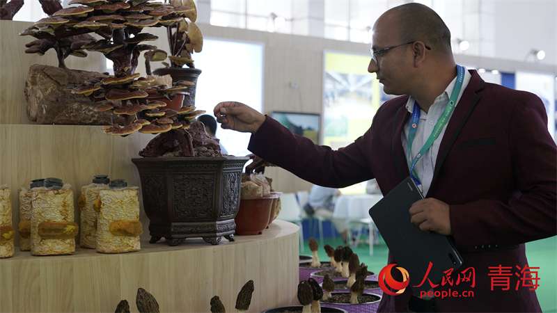 Qinghai: Terceira Exposição Ecológica Internacional da China abre ao público