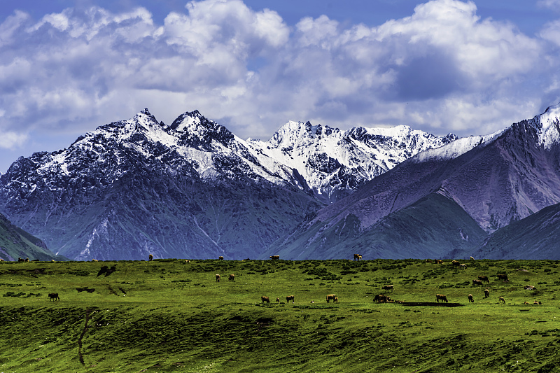 Xinjiang: rodovia Duku reaberta ao tráfego