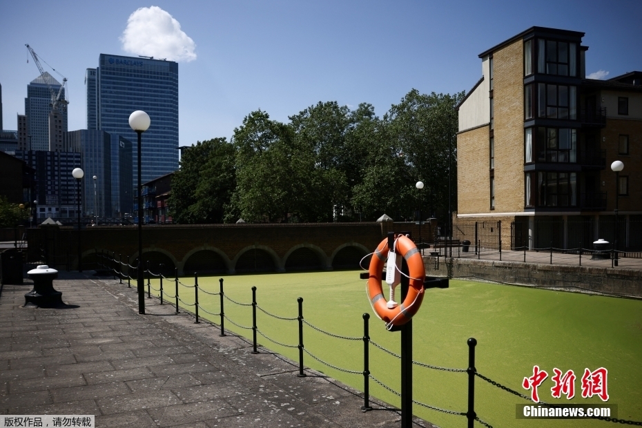 Reino Unido: partes do rio Tâmisa em Londres ficam 