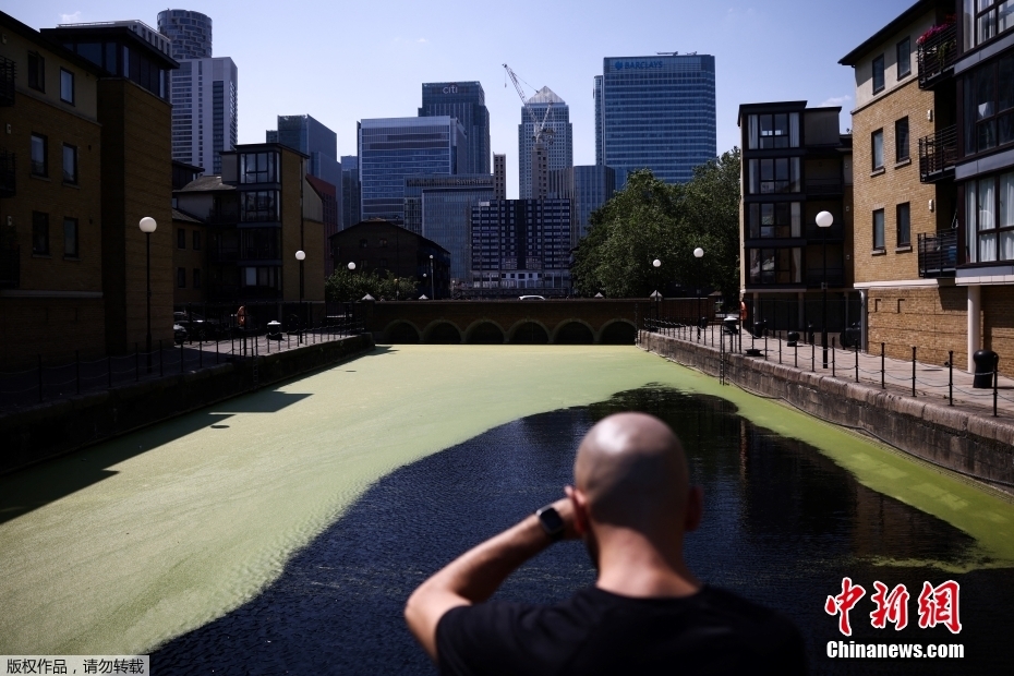 Reino Unido: partes do rio Tâmisa em Londres ficam 