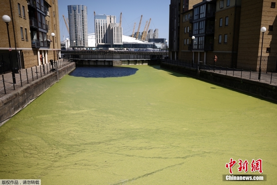 Reino Unido: partes do rio Tâmisa em Londres ficam 