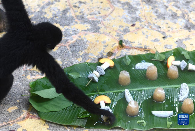 Jardim zoológico de Nanning ajuda animais a suportar calor do verão