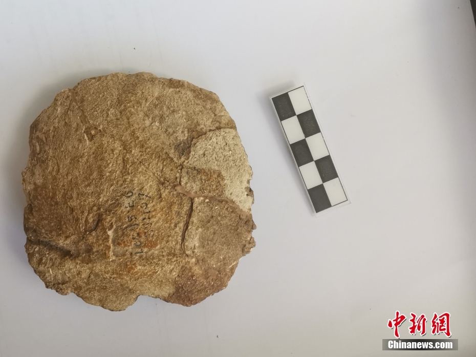 Fóssil de osso parietal humano descoberto no sítio de Zhoukoudian, em Beijing