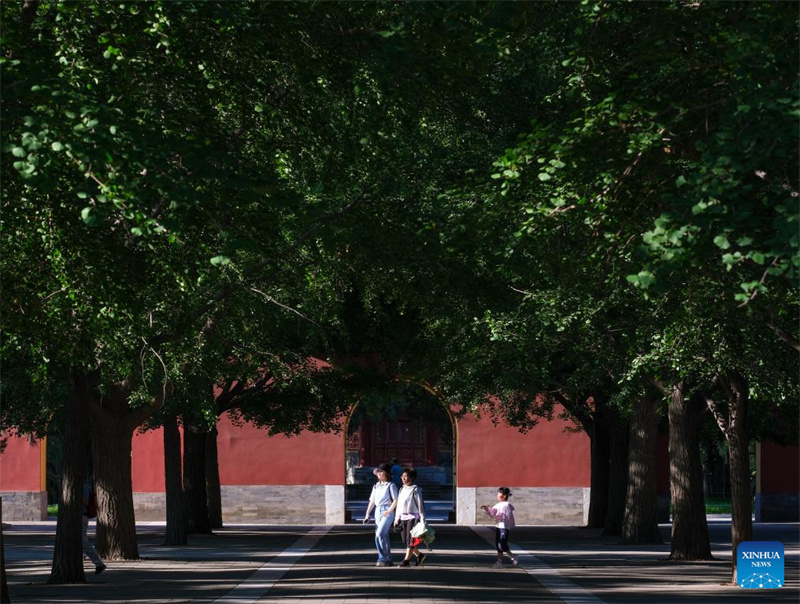 Galeria: edifícios antigos ao longo do Eixo Central de Beijing