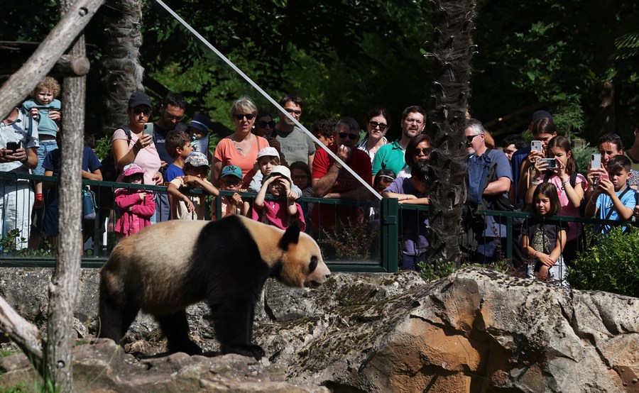 Franceses se despedem do panda gigante 