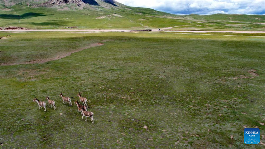 Galeria: fonte do rio Yangtze em Qinghai