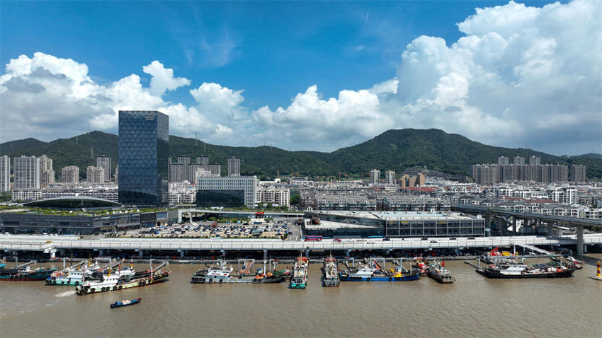 Zhoushan inicia colheita abundante de caranguejo de portunidae