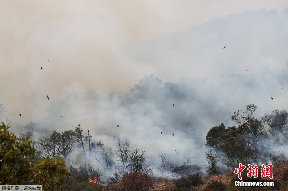 Grécia enfrenta 'maior incêndio' de que há registro na UE