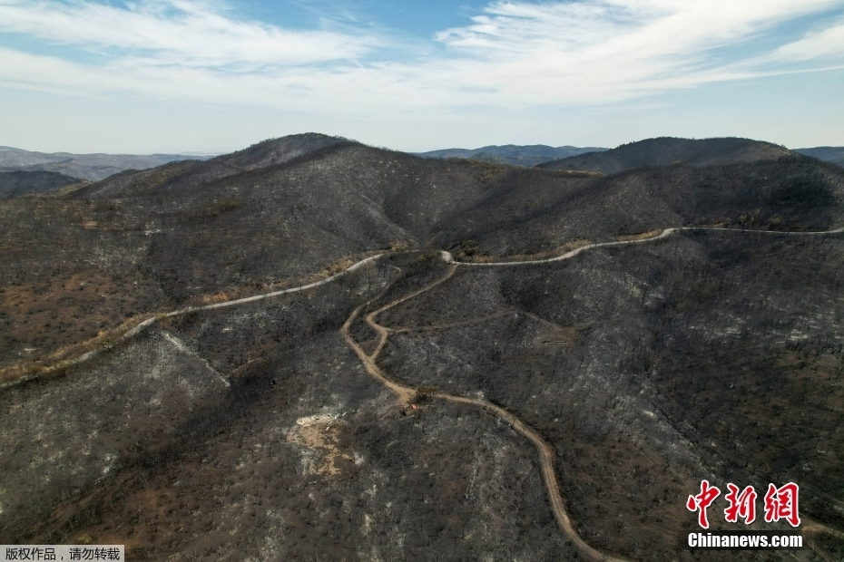 Grécia enfrenta 'maior incêndio' de que há registro na UE