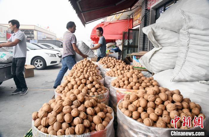 Xinjiang inicia temporada de consumo de nozes