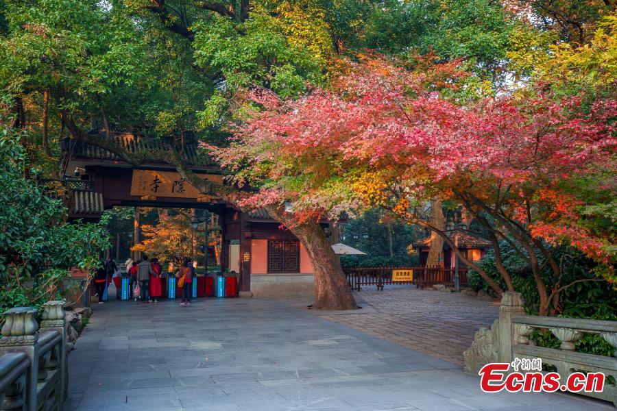 Galeria: cores do outono em Hangzhou, cidade-sede dos 19º Jogos Asiáticos