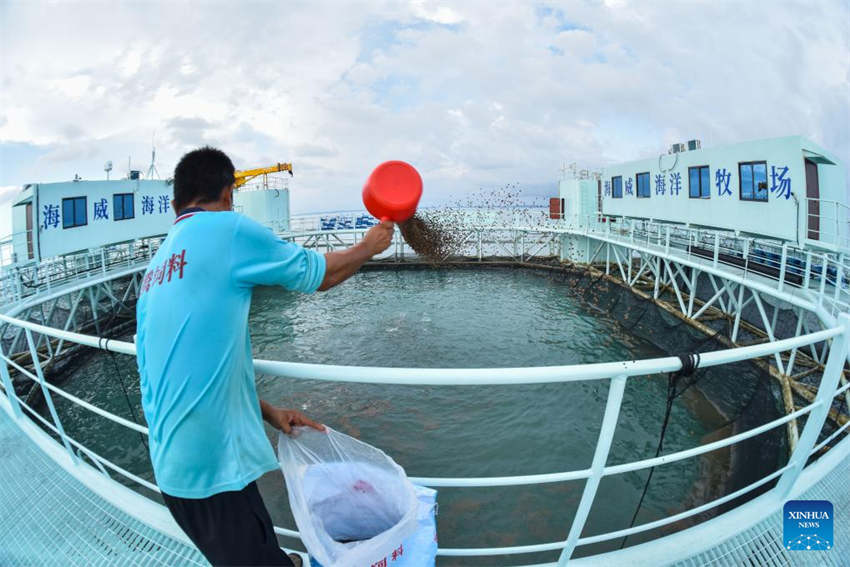 Plataforma de aquicultura é semissubmersível inteligente e autossuficiente em energia verde