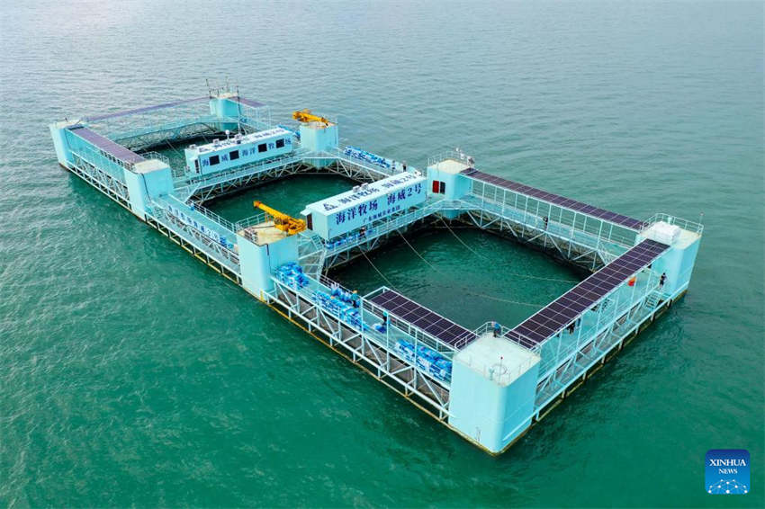 Plataforma de aquicultura é semissubmersível inteligente e autossuficiente em energia verde