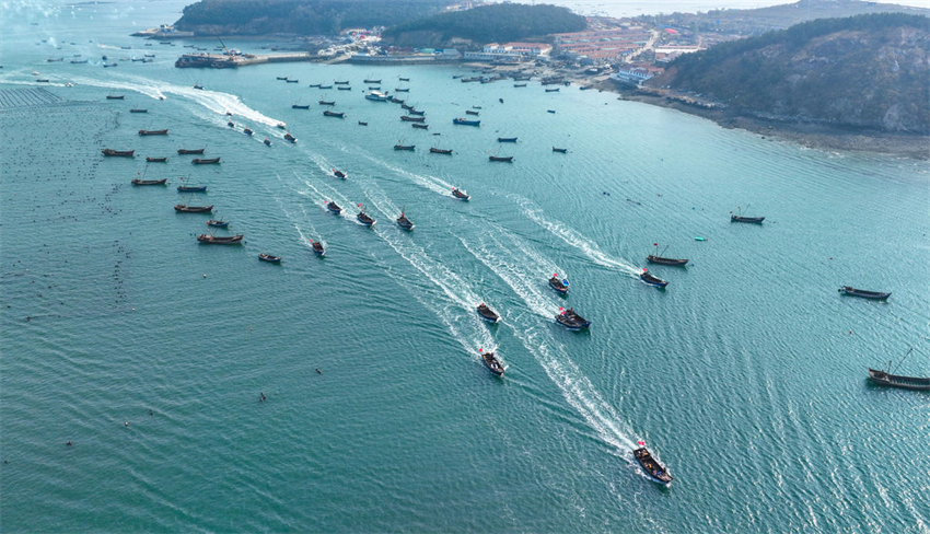 Festival Cultural da Colheita de Pepino do Mar de 2023 foi realizado na ilha Guanglu, no nordeste da China