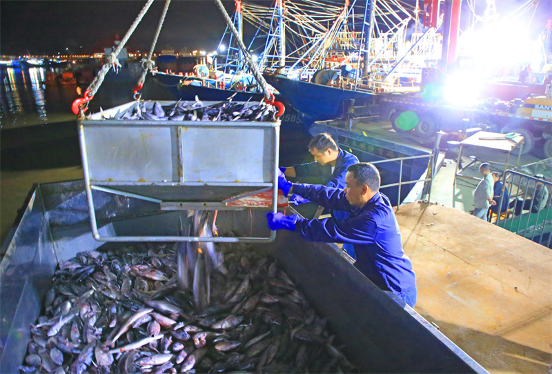 Zhejiang inicia boa colheita de peixes no outono, leste da China